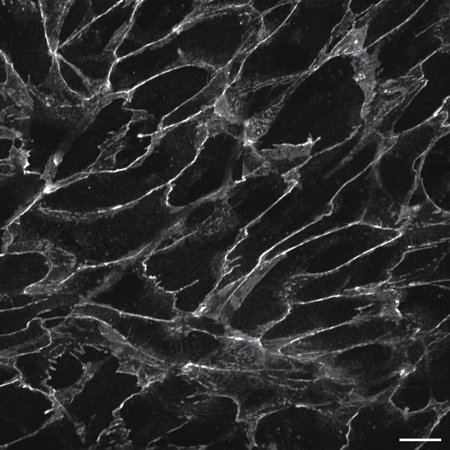 [object Object] thumbnail